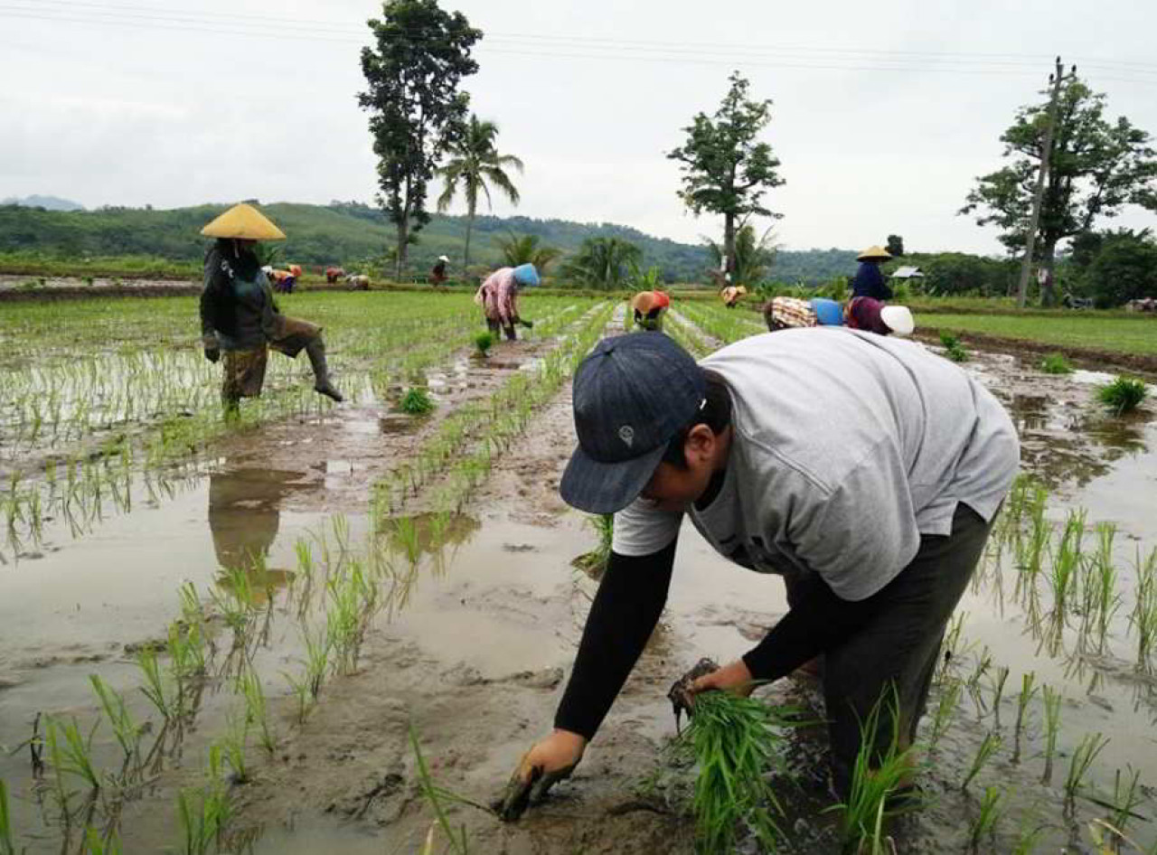 jymmy dorong kaum muda garap pertanian