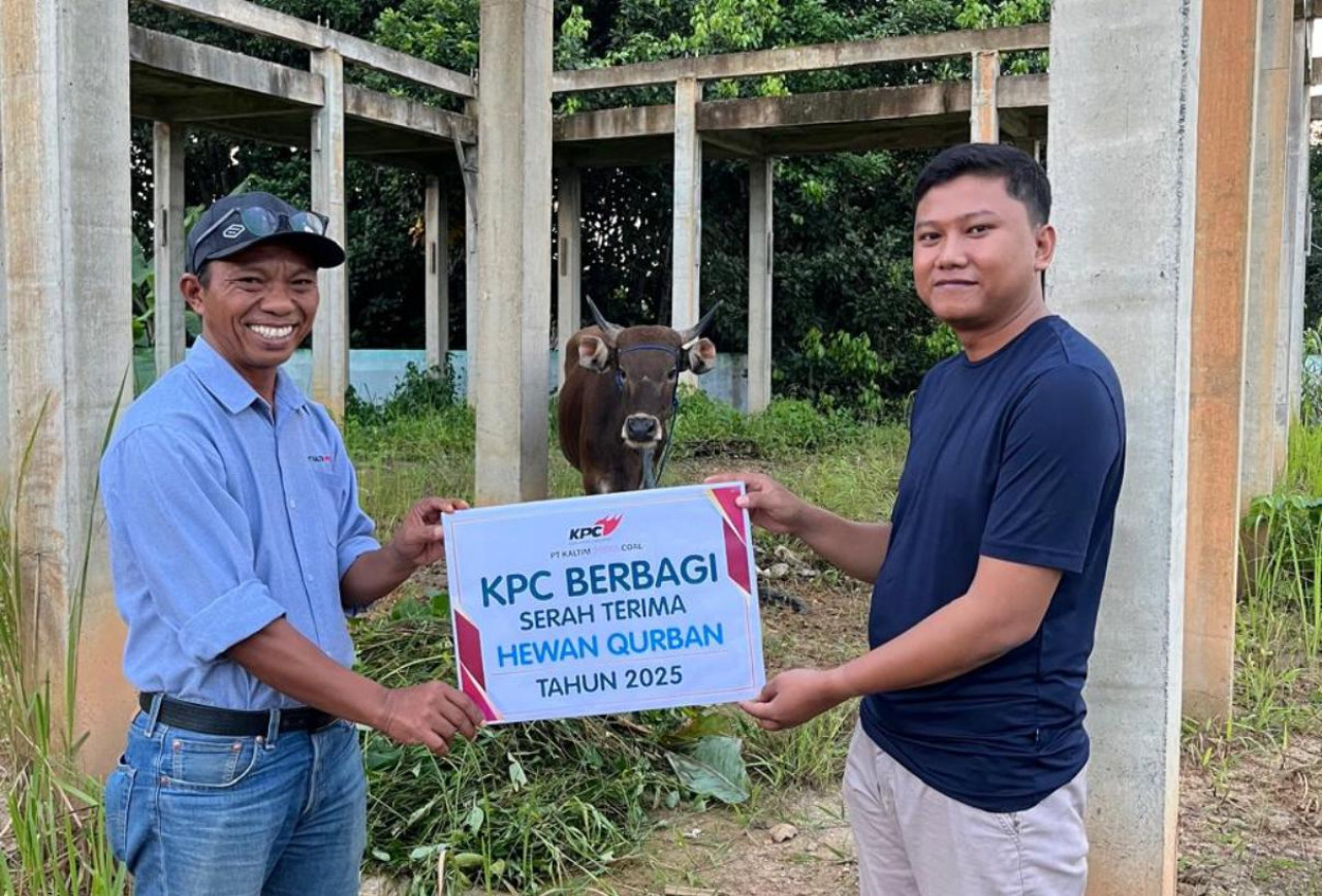 Di Wilayah OperasionalNYA KPC berkurban 67 ekor sapi