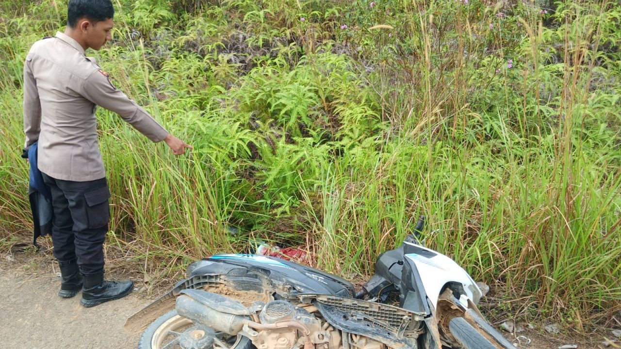 BEMB Tewas  diduga Terkena Dodos   SAWIT MILIK S 