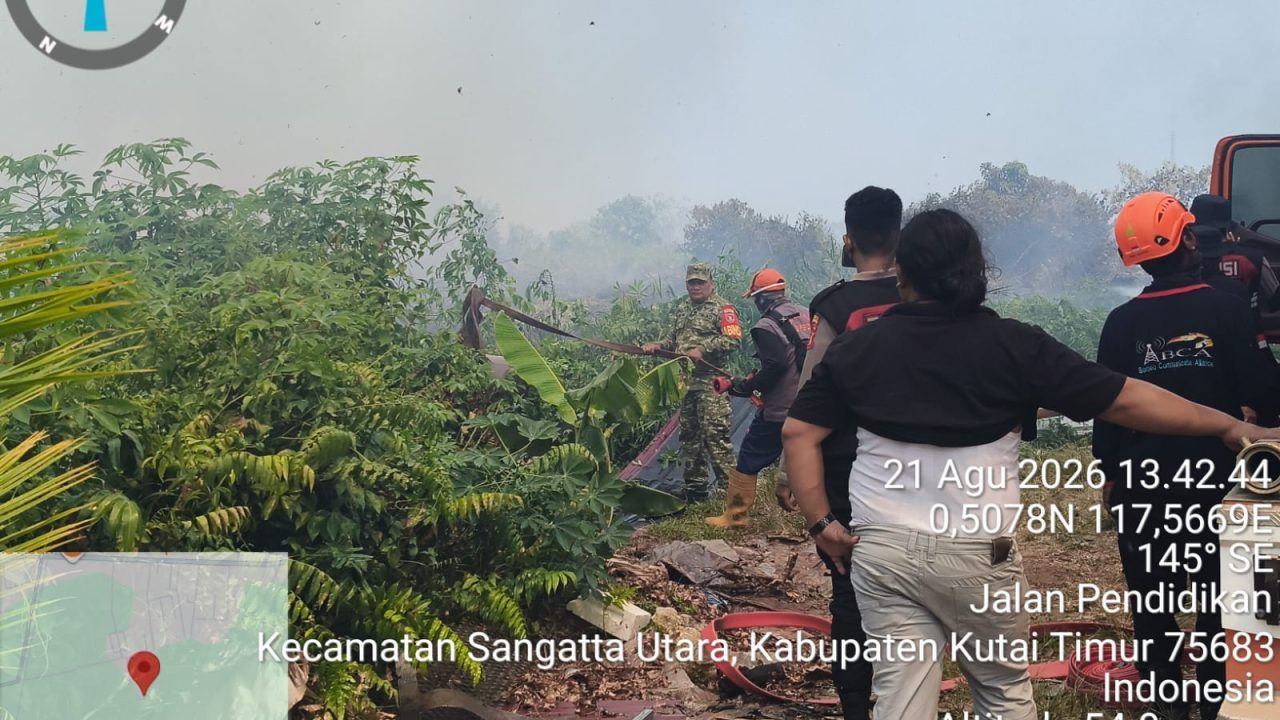 semak belukar di sangatta terus terbakar