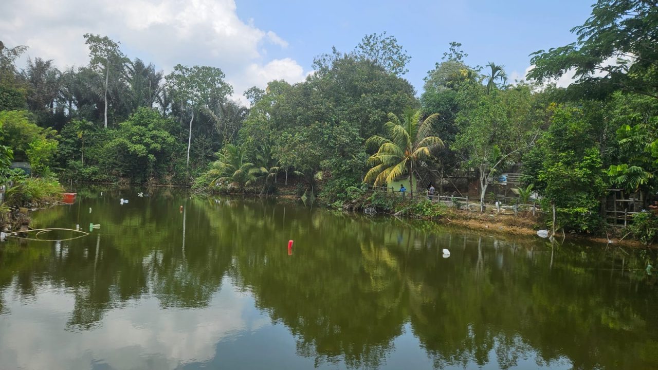 puluhan orang berburu 100 kg ikan di Danau Biru BTI.