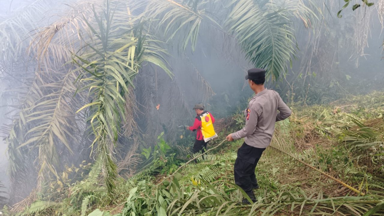  Polda Kaltim Tangani 8 Laporan Karhutla, keterlibstan Korporasi masih diselidiki