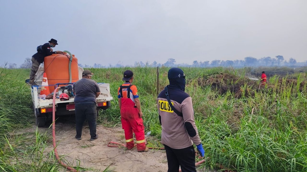 Karhutla di Sangatta Utara mencapai 5 hektar dan penyebabnya masih di evaluasi