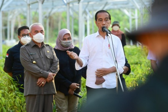 Tinjau Persemaian Mentawir, Presiden: Pembangunan IKN Diawali dengan Rehabilitasi Lahan