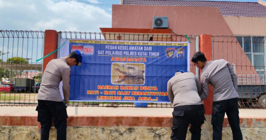 BUAYA BANYAK MUNCUL DI KENYAMUKAN, HATI-HATI