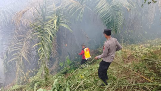  Polda Kaltim Tangani 8 Laporan Karhutla, keterlibstan Korporasi masih diselidiki