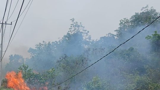 suara RElawan Karhutla : tolong jangan bakar lagi lahan,  Kami Sudah Capek